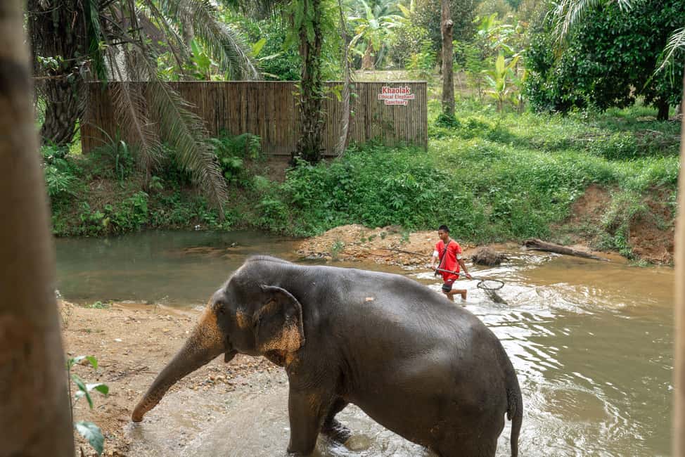 Khao Lak: 1-Hour Elephant Sanctuary Eco-Journey with Shuttle - Price and value: is $49 worth a 1-hour experience?