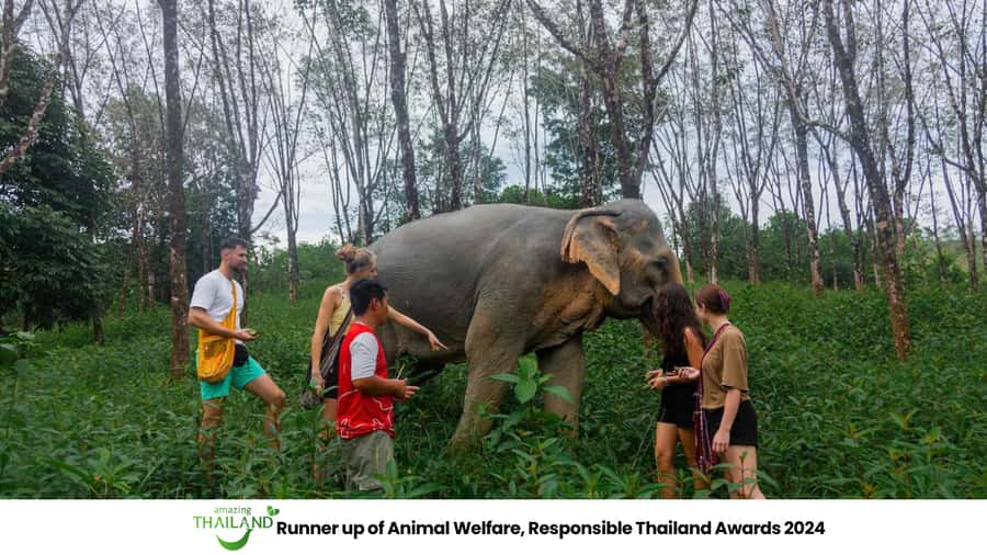 Khao Lak: 2-Hour Elephant Sanctuary Eco-Walk with Guided - Key highlights you’ll care about before you go