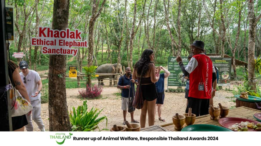 Khao Lak: 2-Hour Elephant Sanctuary Eco-Walk with Guided - Khao Lak Ethical Elephant Sanctuary: what you’re actually booking