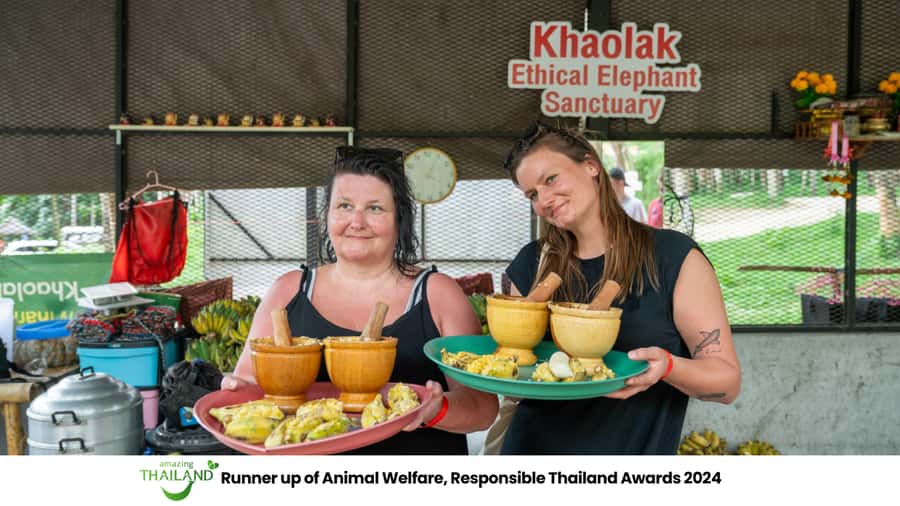 Khao Lak: 2-Hour Elephant Sanctuary Eco-Walk with Guided - Bananas, cane sugar, and herbal vitamin balls you help make