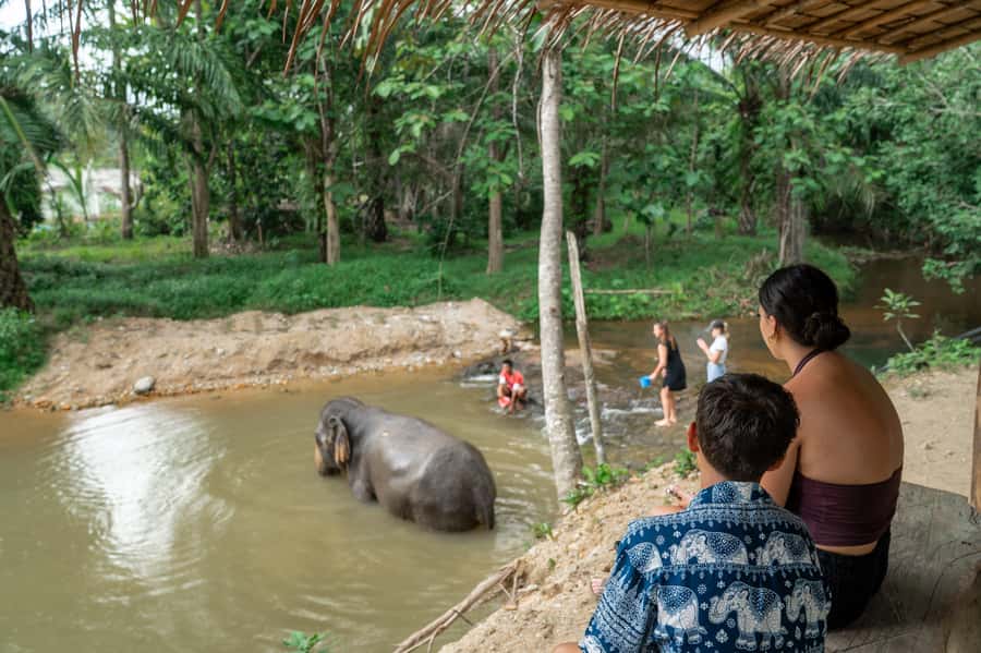 Khao Lak: 2-Hour Elephant Sanctuary Eco-Walk with Guided - Guides, stories, and what you learn beyond the selfies