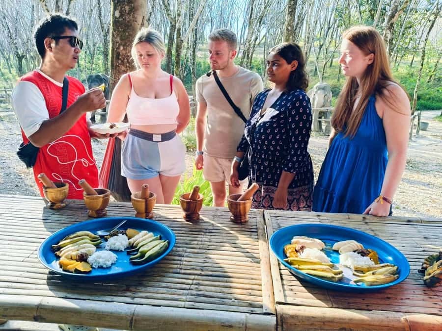 Khao Lak: 2-Hour Elephant Sanctuary Eco-Walk with Guided - What to wear and bring so you stay comfy