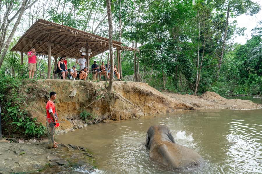 Khao Lak: 2-Hour Elephant Sanctuary Eco-Walk with Guided - Price and value: is $73 worth it in Khao Lak?