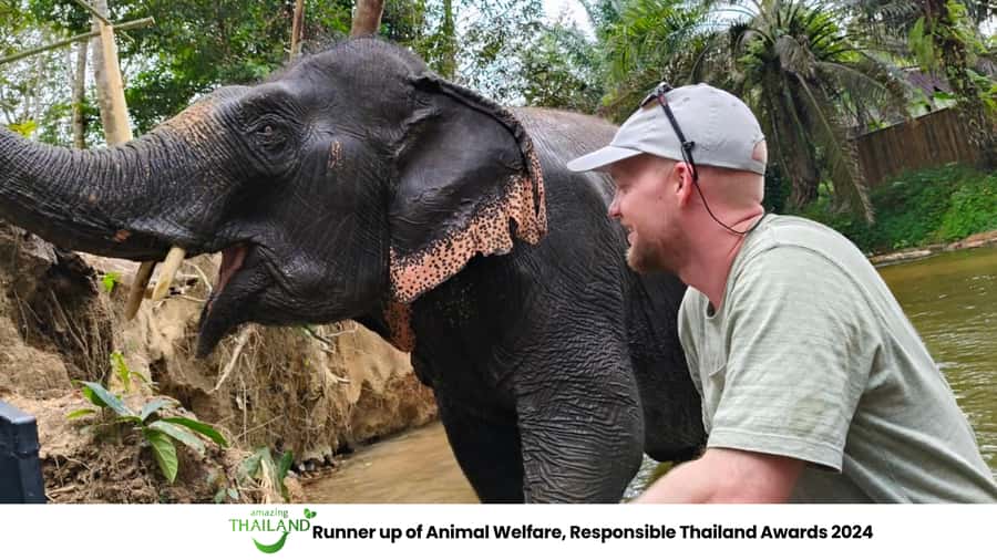 Khao Lak: 2-Hour Elephant Sanctuary Eco-Walk with Guided - Pickup and the early ramp-up: getting to the sanctuary without stress