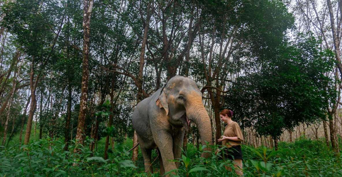 Khao Lak: All-Day Elephant Sanctuary Experience Small Groups - The Herbal Vitamin Ball Workshop (Plus Feeding That Makes Sense)