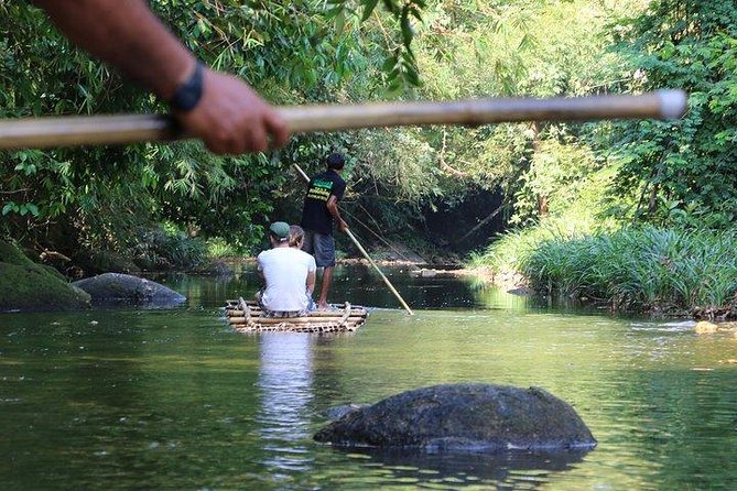 Khao Lak: Bamboo Rafting & Sea Turtle Conservation Center - Pricing and what you actually get for $42.39