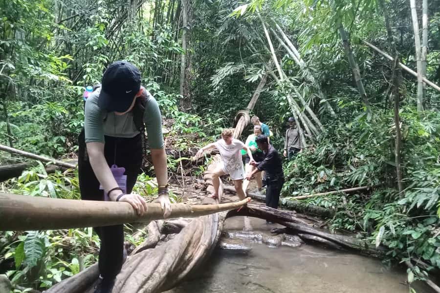 Khao Lak: Cheow Lan Lake, Diamond Cave, Hiking, All Included - Wildlife viewing and the park feel: how the all-in format changes your day
