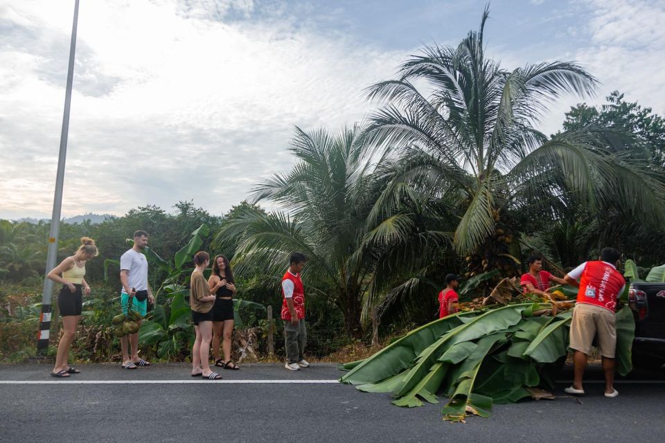 Khao Lak Eco Safari: Elephant Sanctuary Small Group Tour - From Khao Lak pickup to elephant time: what the day feels like