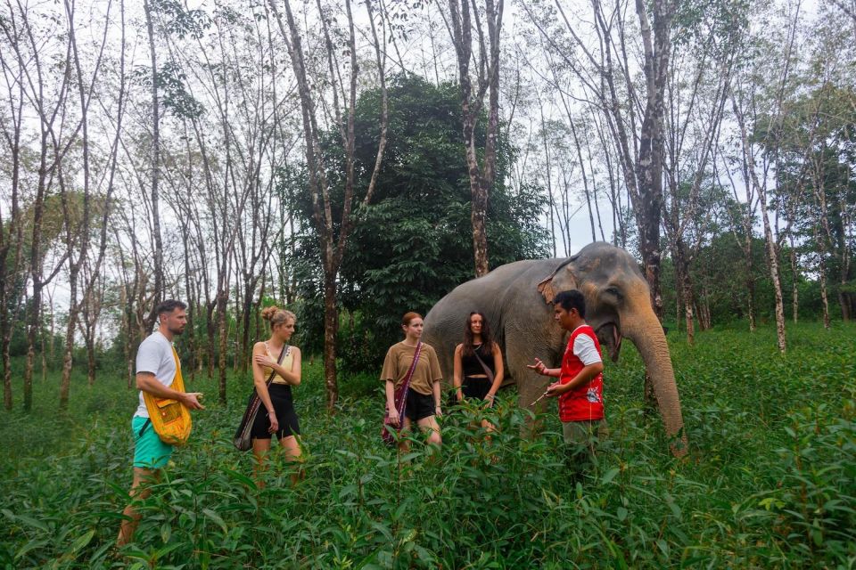 Khao Lak Eco Safari: Elephant Sanctuary Small Group Tour - Sai Rung Waterfall: a real break, plus a swim window