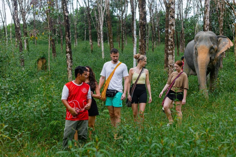 Khao Lak Eco Safari: Elephant Sanctuary Small Group Tour - The sanctuary approach: close, but not controlling