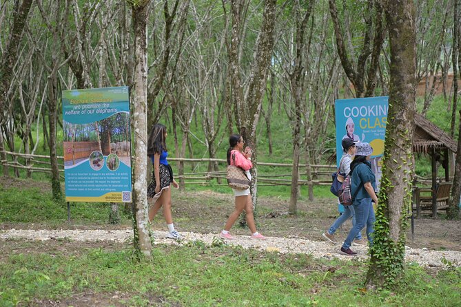 Khao Lak Eco-Safari: Elephants, Tsunami Museum, and Turtles - Why this Khao Lak Eco-Safari fits so well into a half-day