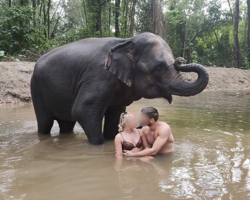 Khao Lak: Elephant Bathing and Turtle Center Visit - Value Check: Why $63 Makes Sense for a Full Half-Day