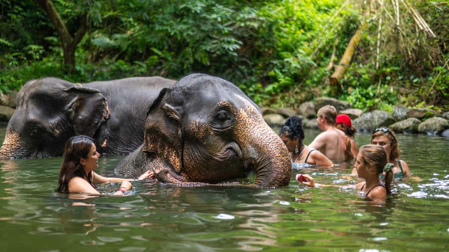 Khao Lak: Elephant Camp, Bamboo Rafting, and Waterfall Tour - Key highlights worth your attention
