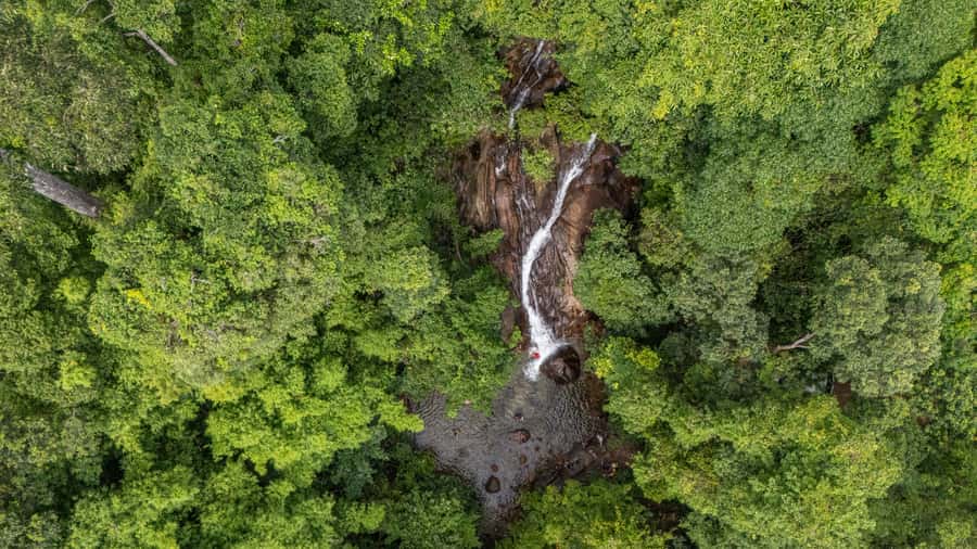 Khao Lak: Elephant Camp, Bamboo Rafting, and Waterfall Tour - Phang Nga Elephant Park: gentle interaction and how to make it ethical