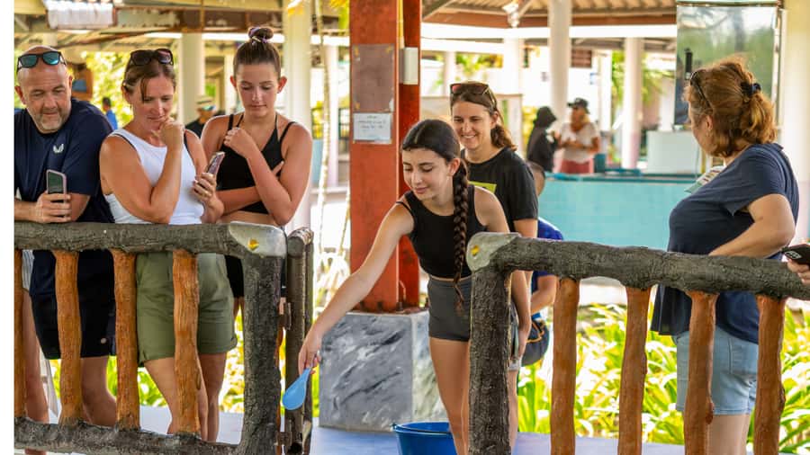 Khao Lak: Elephant Camp, Bamboo Rafting, and Waterfall Tour - Lunch and timing: what to do between the big moments