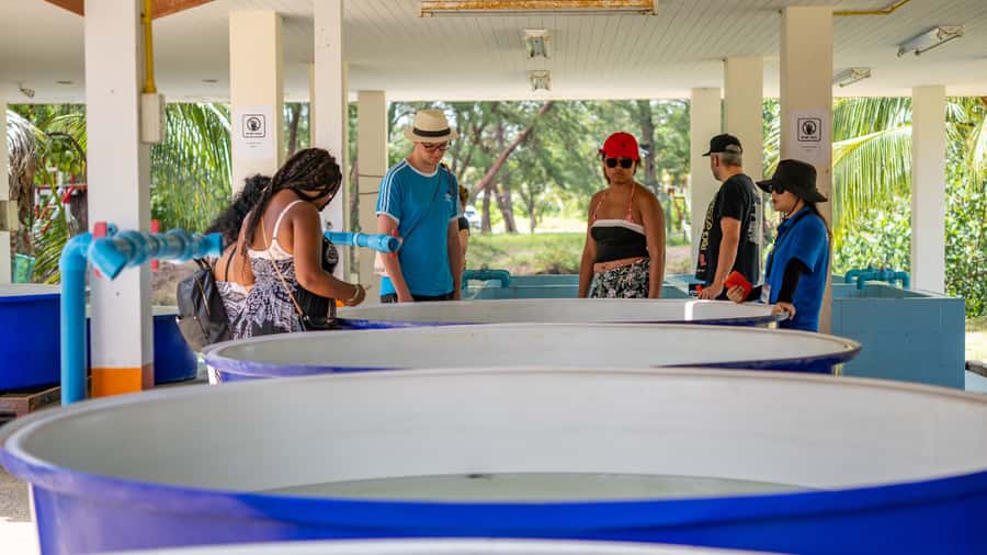 Khao Lak: Elephant Camp, Bamboo Rafting, and Waterfall Tour - Who should book this tour, and who should think twice