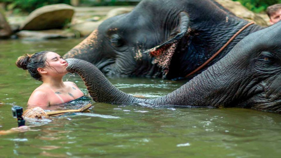 Khao Lak: Elephant Safari with Lunch - Temple visit: respectful clothing and a quick Buddhism intro