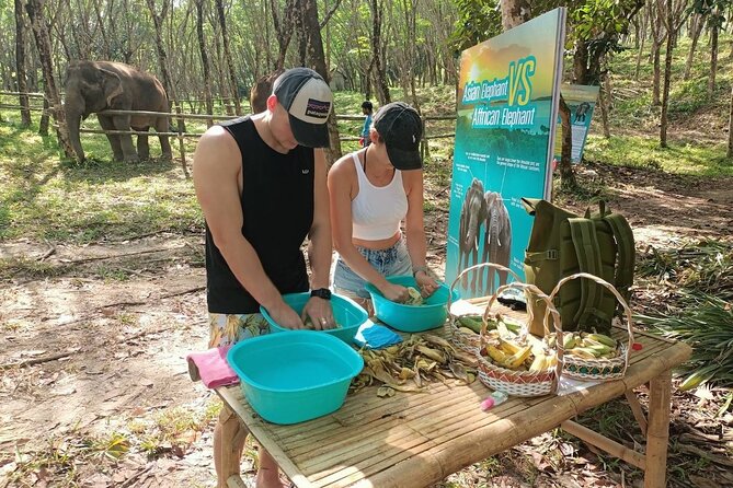 Khao Lak Elephant Sanctuary Tour with Waterfall and Lunch - Entering Khao Lak Ethical Elephant Sanctuary Without the Chaos