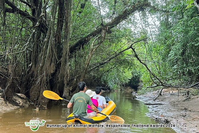 Khao Lak Elephant Sanctuary Visit and Mangrove Kayak Tour - The Water-to-Elephant Flow: Timing, Transfers, and What 4 Hours Feels Like