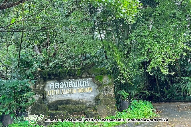 Khao Lak Elephant Sanctuary Visit and Mangrove Kayak Tour - What to Bring: Small Things That Make the Day Easier