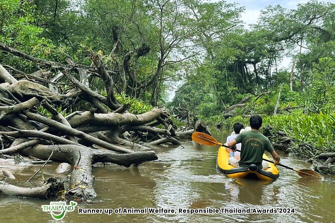 Khao Lak Elephant Sanctuary Visit and Mangrove Kayak Tour - Who This Tour Fits Best (And Who Might Want to Think Twice)