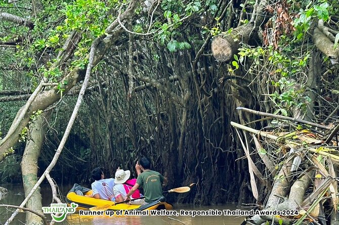 Khao Lak Elephant Sanctuary Visit and Mangrove Kayak Tour - Khaolak Elephant Sanctuary: Observing Elephants in a Better Rhythm