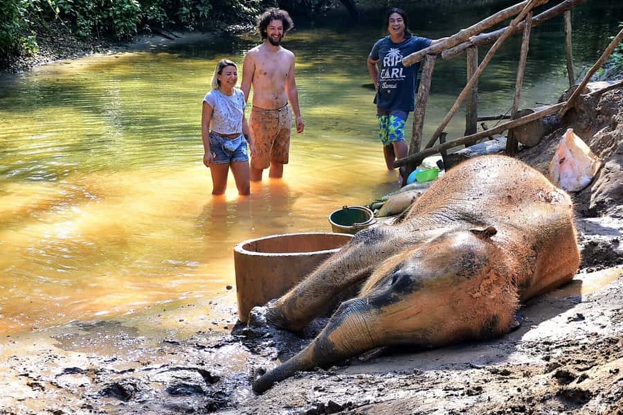 Khao Lak Ethical Adventure: Rafting, Turtles & Elephants - Bamboo rafting at Wang Kiang Koo: calm water, real river rhythm