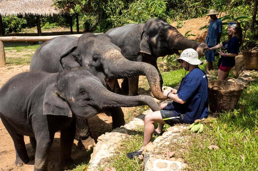 Khao Lak: Ethical Elephant Sanctuary Experience - Arriving: caretaker outfit, safety briefing, and the elephant health check
