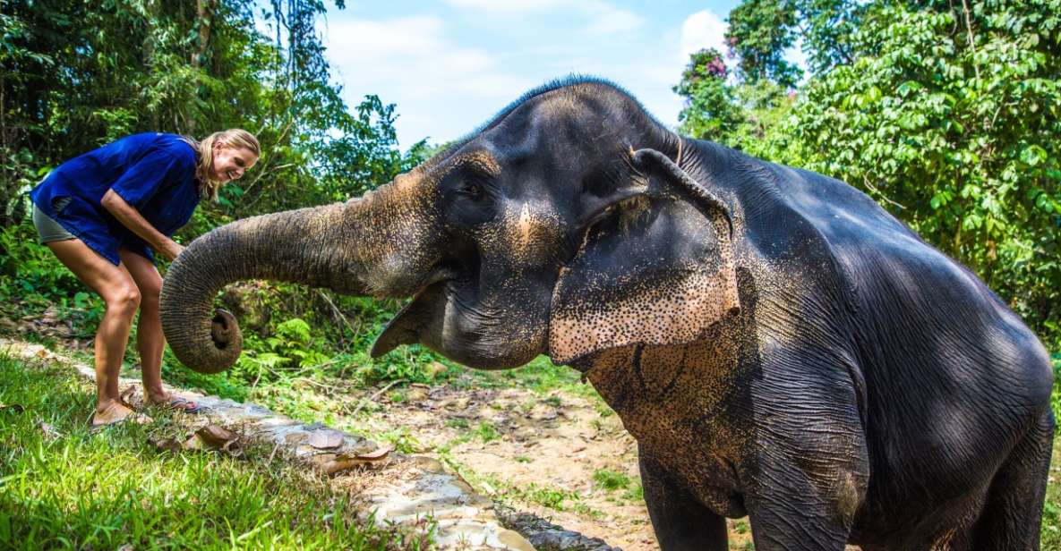 Khao Lak: Ethical Elephant Sanctuary Experience - Food prep and feeding: hands-on, but with purpose