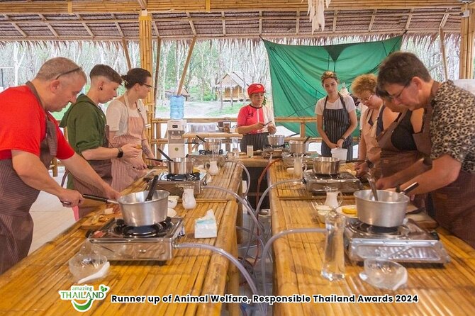 Khao Lak Ethical Elephant Sanctuary Small Group Tour - Sai Rung Waterfall: A Half-Hour Nature Break With a Water-Level Warning