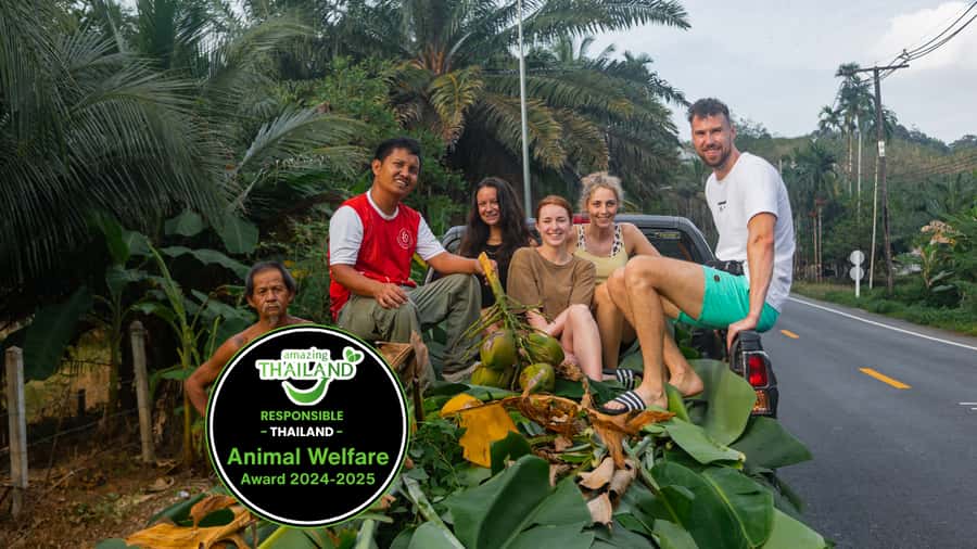 Khao Lak: Ethical Overnight Elephant Sanctuary Experience - Key things that make this overnight different