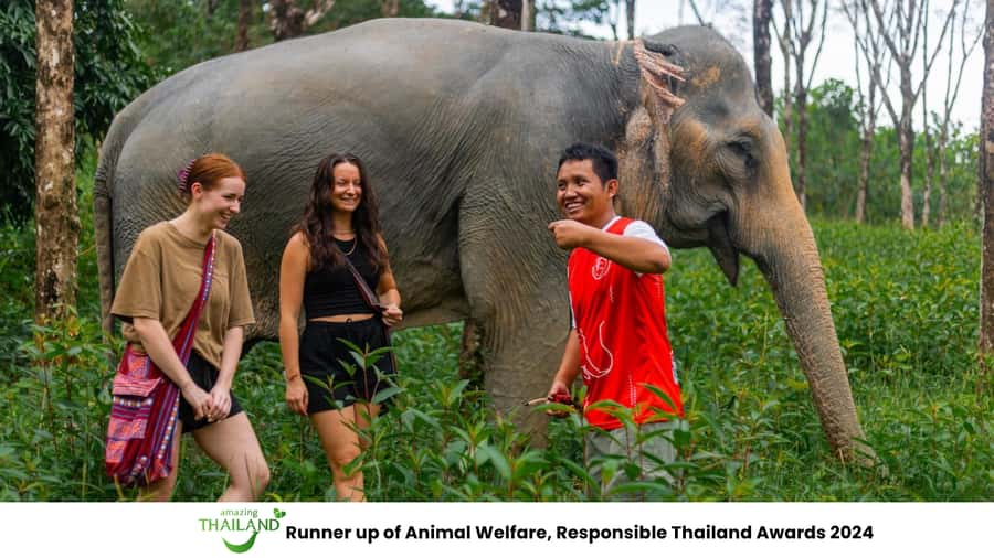 Khao Lak: Ethical Overnight Elephant Sanctuary Experience - Why Khao Lak’s overnight elephant day feels more real