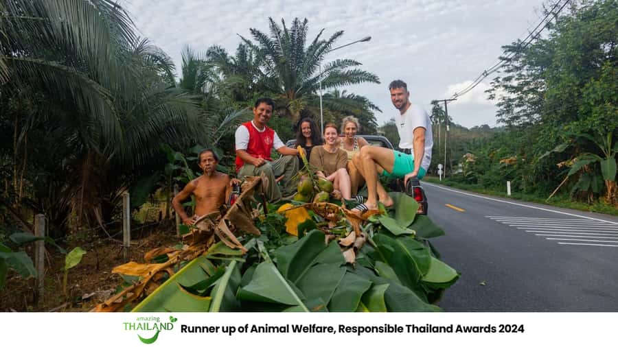 Khao Lak: Ethical Overnight Elephant Sanctuary Experience - Day 1: forest walk, caretaker chores, and Thai culture