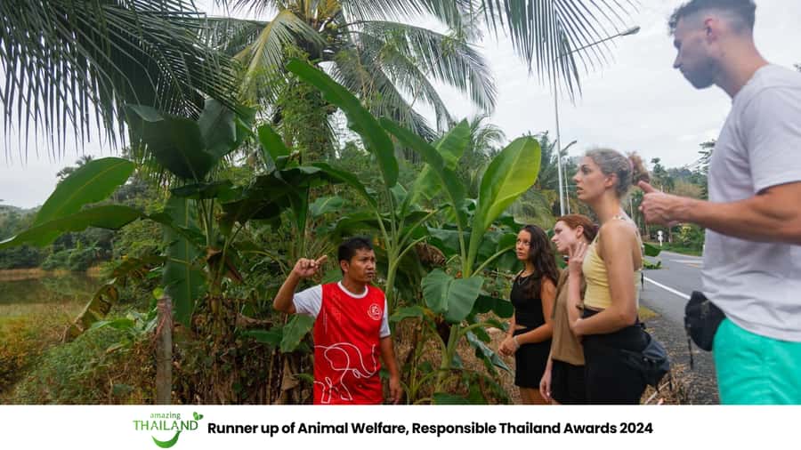 Khao Lak: Ethical Overnight Elephant Sanctuary Experience - The ethics: what you can expect around elephants