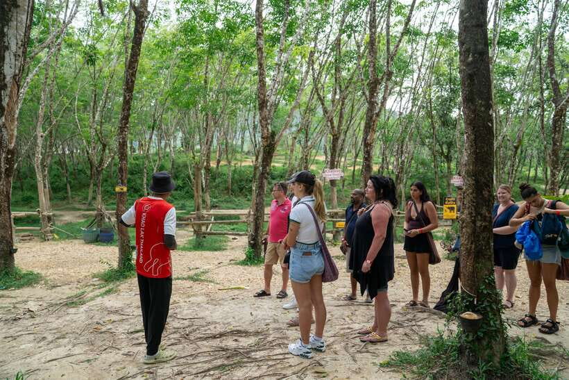 Khao Lak Guided Nature Walk & Elephant Experience - Transportation from Phuket and Khao Lak: making it friction-free
