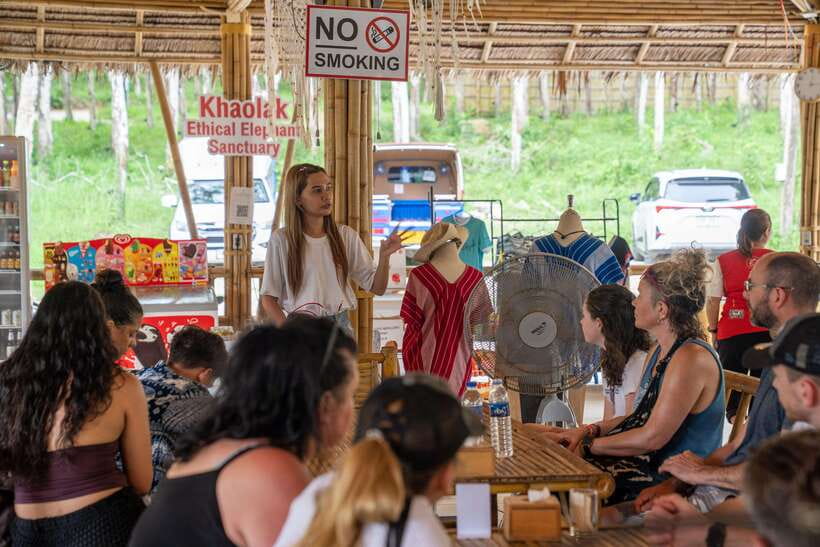 Khao Lak Guided Nature Walk & Elephant Experience - Price and value: is $51 fair for what you get?