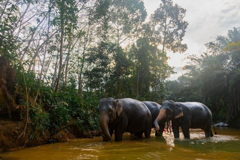 Khao Lak: Half day Bamboo Rafting Tour with Lunch - Ethical Elephant Sanctuary Add-On with Guide Tony (When Your Day Includes It)