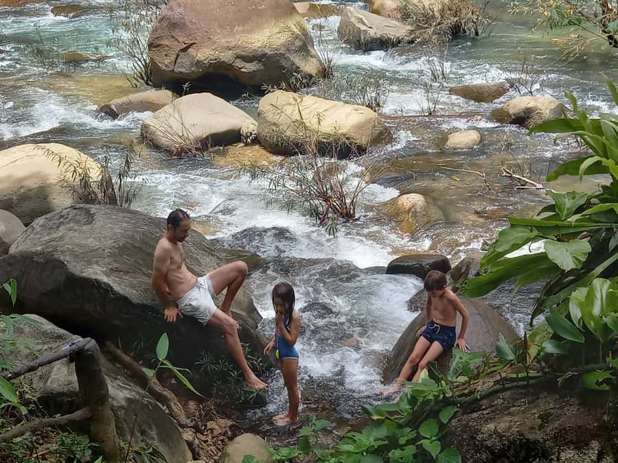 Khao Lak: Khao Sok Elephant Sanctuary and Night Jungle Walk - Key Things You’ll Remember From This Khao Sok + Elephant Day