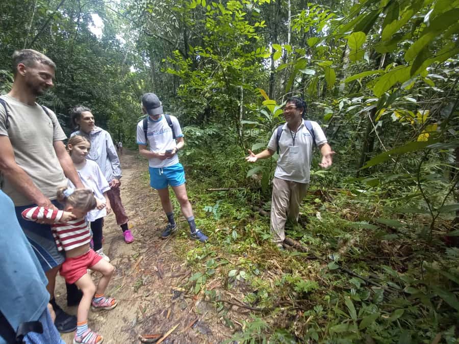 Khao Lak: Khao Sok Elephant Sanctuary and Night Jungle Walk - Elephant Sanctuary Morning: Feeding, Mud Spa, and Close Encounters