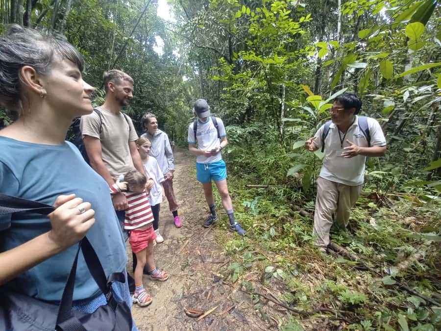 Khao Lak: Khao Sok Elephant Sanctuary and Night Jungle Walk - The Khao Sok Trek and Wing Hin Waterfall: What 3.5 Hours Means on the Ground
