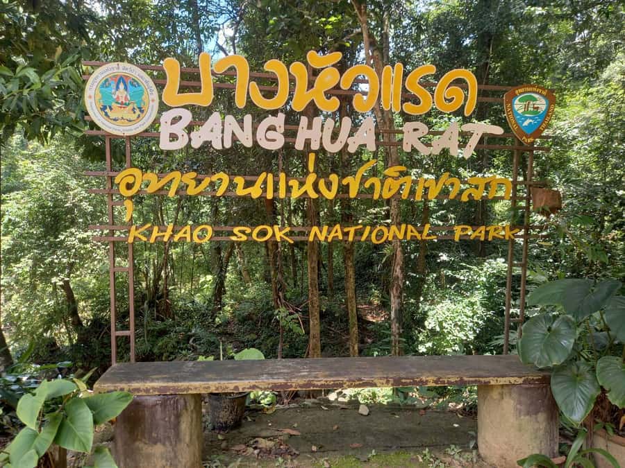 Khao Lak: Khao Sok Elephant Sanctuary and Night Jungle Walk - Who This Tour Fits Best (and Who Should Skip It)