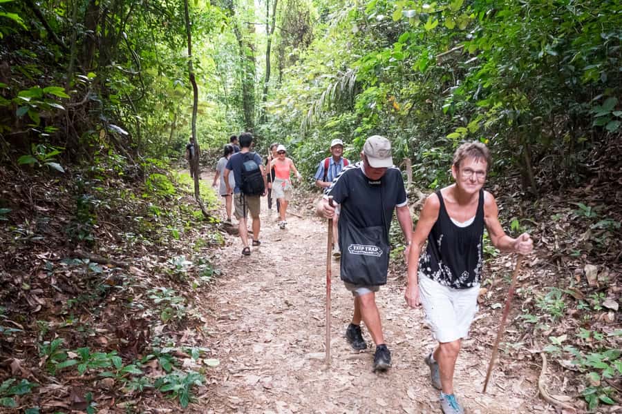 Khao Lak: Khao Sok Elephant Sanctuary and Night Jungle Walk - Getting to Khao Sok: Temple Photo Stops and Why the Drive Time Matters