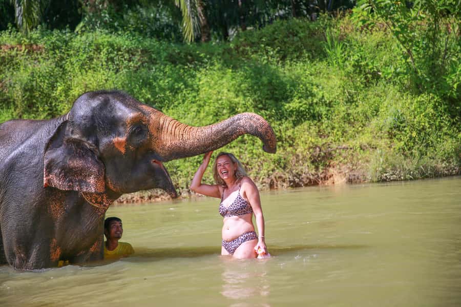 Khao Lak: Khao Sok National Park Overnight Treehouse Trip - Key Things I Think You’ll Remember