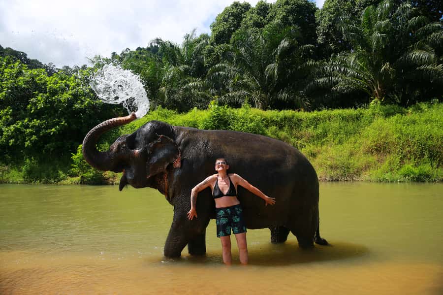 Khao Lak: Khao Sok National Park Overnight Treehouse Trip - Day 1: canoe paddling and elephant bathing, no riding