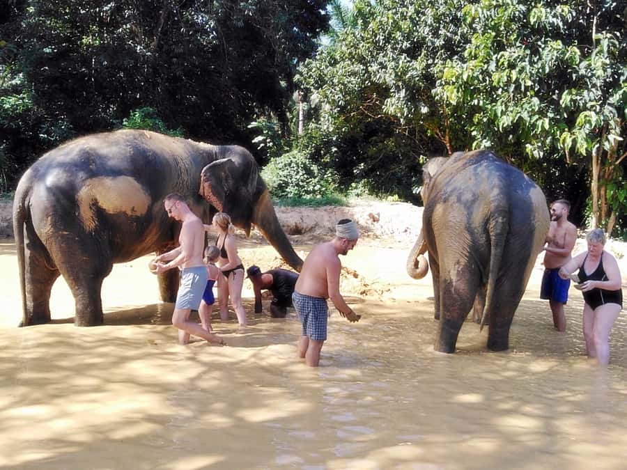 Khao Lak: Khao Sok Private Ethical Elephants & Rafting - Khao Lak to Khao Sok: the day’s rhythm (and why it works)