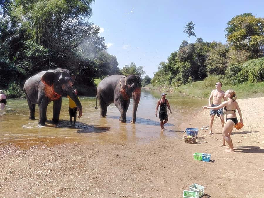 Khao Lak: Khao Sok Private Ethical Elephants & Rafting - Herbal supplement + eco-friendly paper: the behind-the-scenes learning