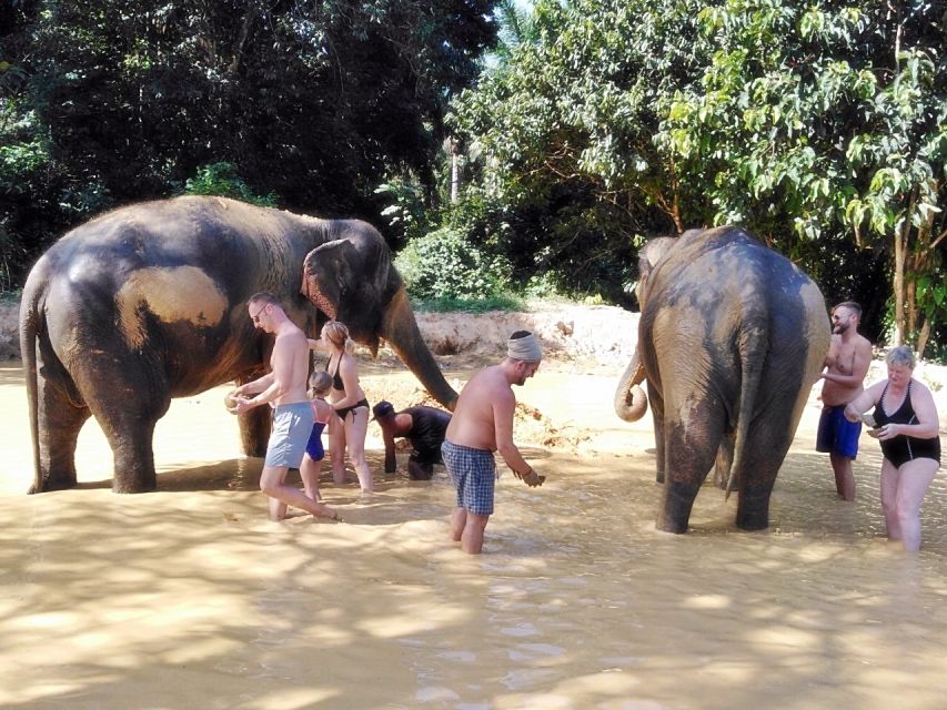 Khao Lak: Khao Sok Private Ethical Elephants & Rafting - The Som Tum cooking stop: where the tour turns tasty