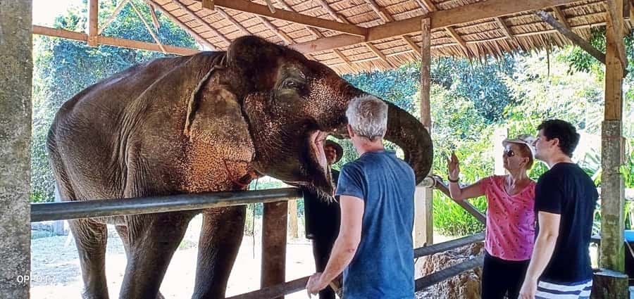 Khao Lak: Khao Sok Private Ethical Elephants & Rafting - Waterfall and viewpoints: Mae Yai plus Khao Sok lookouts