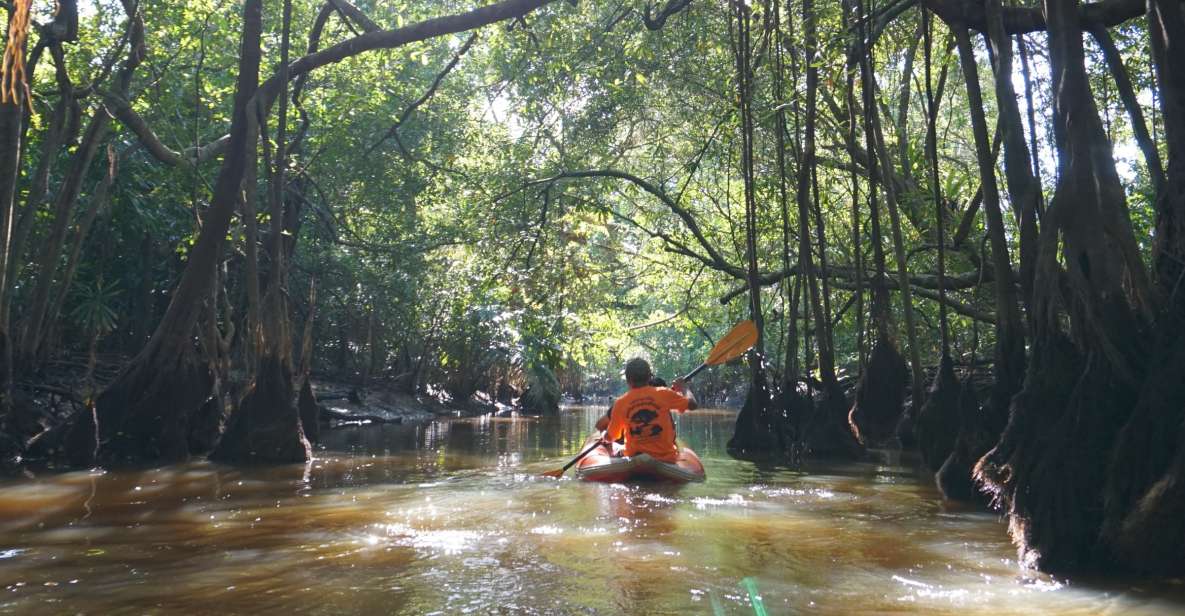 Khao Lak: Little Amazon Canoe Ride & Tam Nang Waterfall Tour - Key things to know before you go