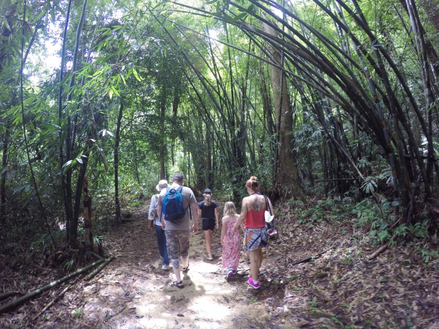 Khao Lak: Little Amazon Canoe Ride & Tam Nang Waterfall Tour - Price and value: is $61 worth it for this mix?